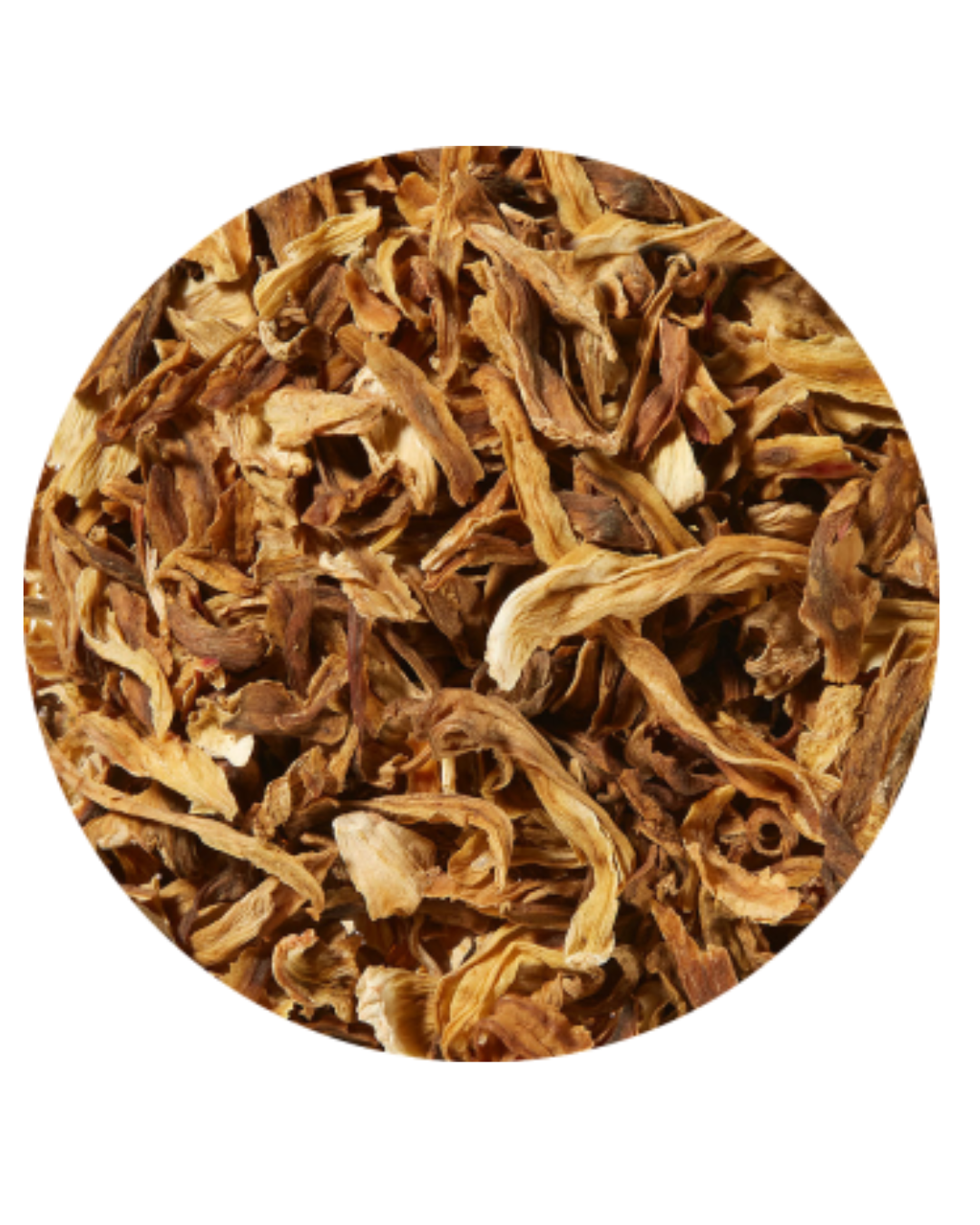 Illustration botanique de Hibiscus blanc