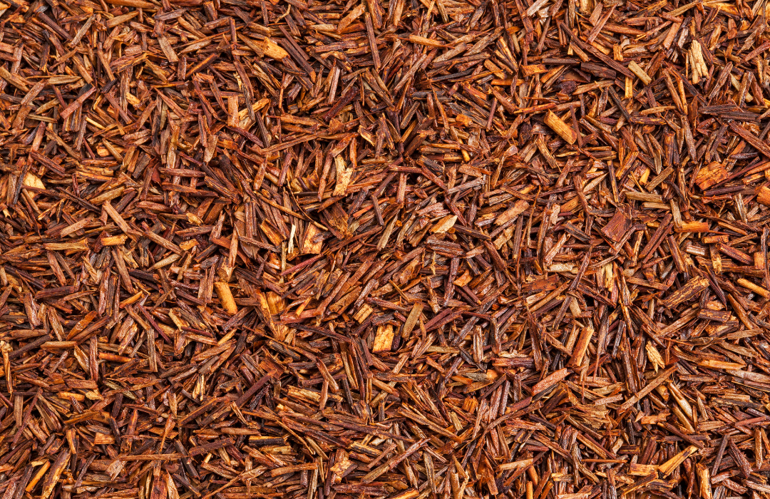 Rooibos