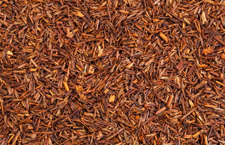 Rooibos